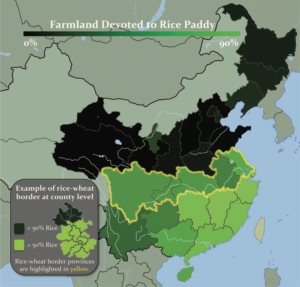 Fig. 1. Percent of cultivated land devoted to rice paddies in 1996.